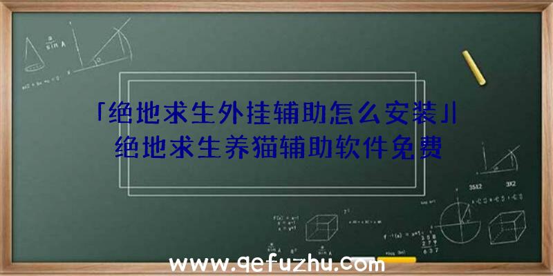 「绝地求生外挂辅助怎么安装」|绝地求生养猫辅助软件免费